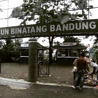 Kebun binatang di bandung