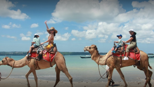 Bali Camel Adventure - Wisata dekat Bandara Bali